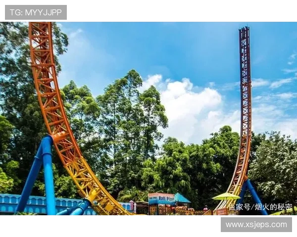 广州滑板队运营分析：成功经验与面临挑战的深度探讨