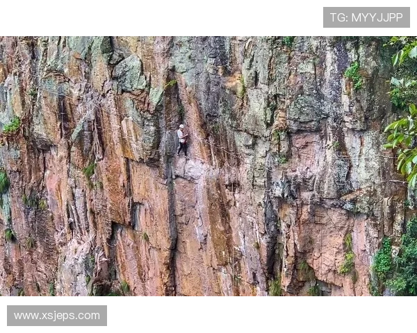 广州攀岩队在极限运动会中以55分稳居积分榜首位引发关注